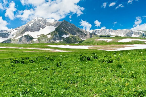 Pradera verde al pie de las montañas cubiertas de nieve