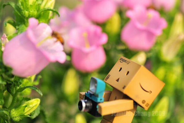 Cute photo with box and flowers