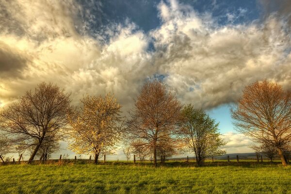 Landscape of the countryside during the day