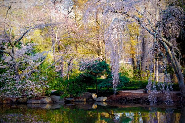 Spring forest over the river