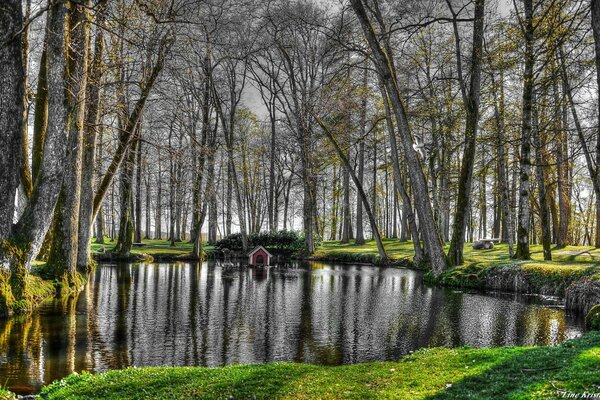 Lac de forêt tranquille et cabane