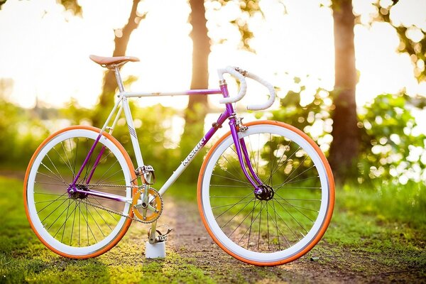 Vélo femme à l extérieur dans la forêt