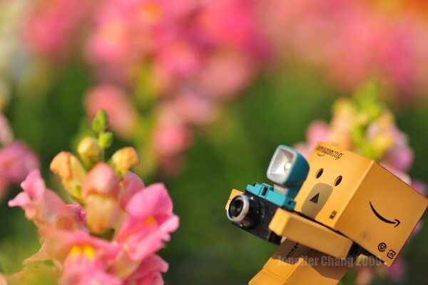 Un hombre de cajas toma fotos de flores