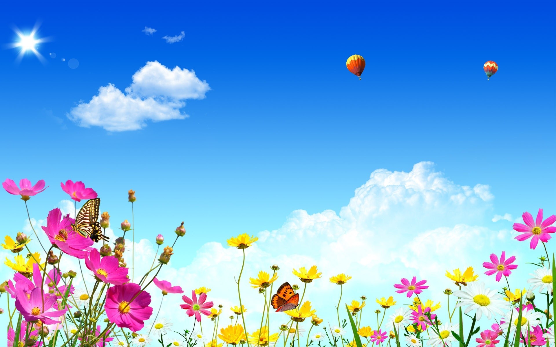 frühling blume sommer natur feld heuhaufen gras flora hell sonne farbe jahreszeit gutes wetter himmel blumen desktop sonnig