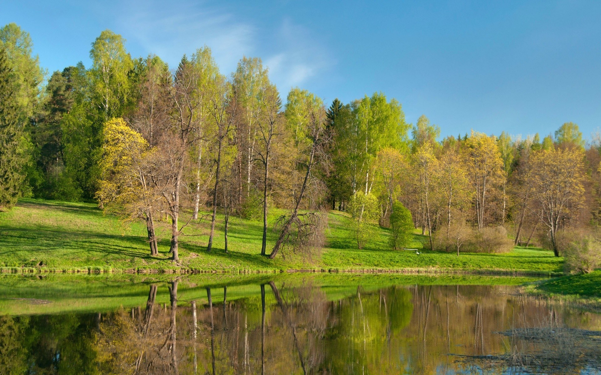 spring landscape nature tree wood water fall lake grass river rural outdoors reflection countryside leaf pool sky summer season scenic