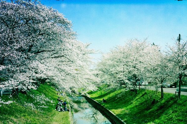 Die Jahreszeit ist Frühling. Natur und Himmel