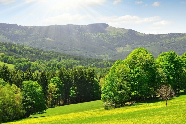 Stok i góry. Natura świata