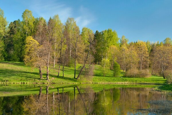 La primavera sta arrivando, la primavera è la strada