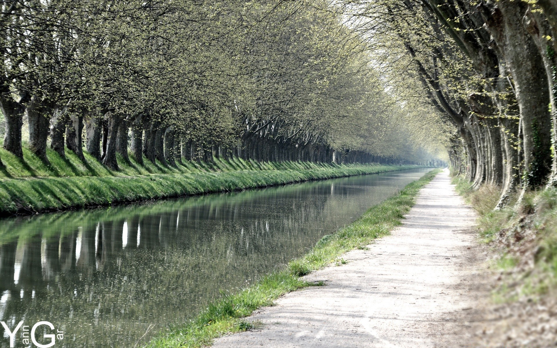 frühling natur im freien führung holz straße baum wasser gras landschaft des ländlichen des ländlichen raums sommer herbst blatt