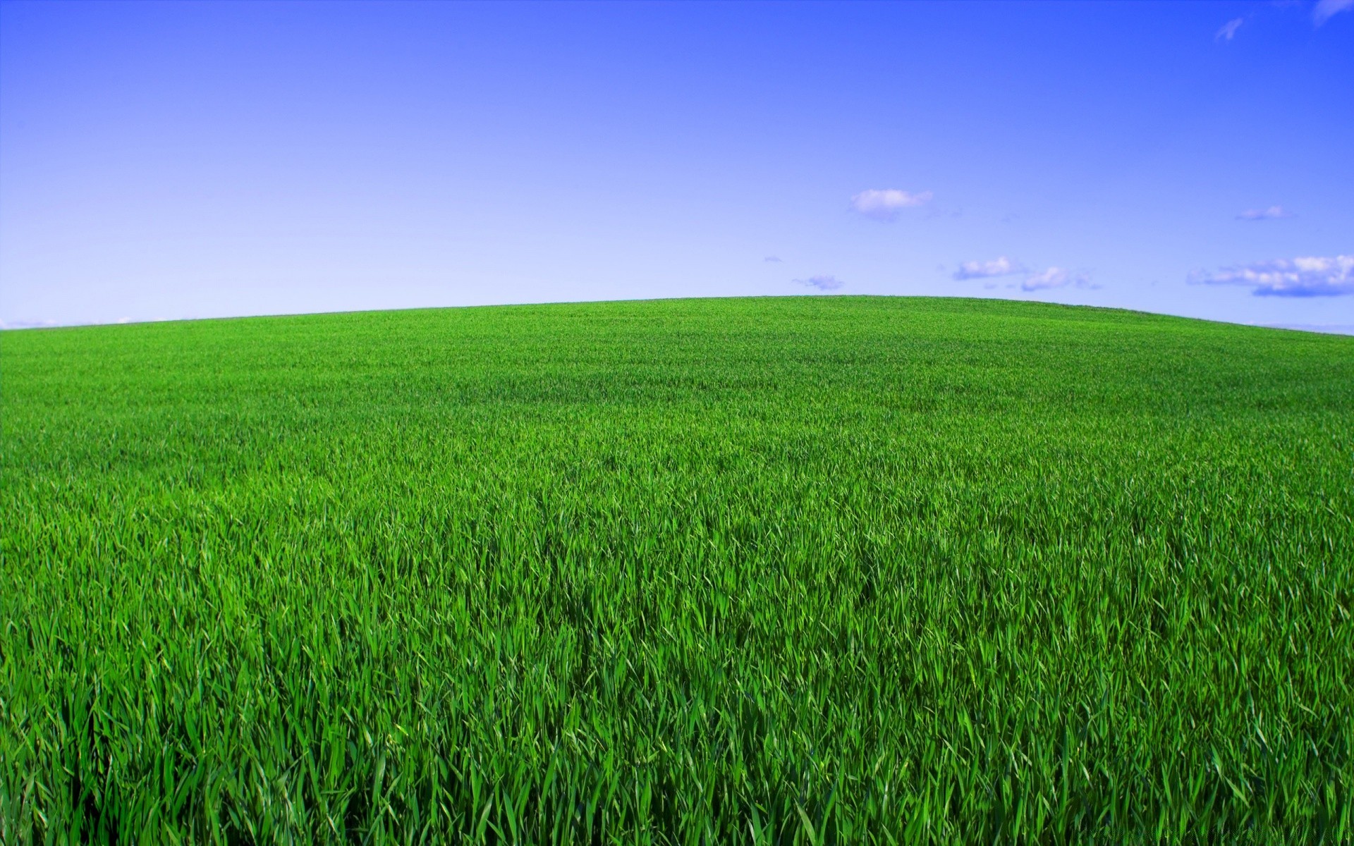 frühling feld des ländlichen gras bauernhof heuhaufen weide landschaft wachstum horizont landwirtschaft landschaft boden rasen natur sommer gutes wetter weiden idylle