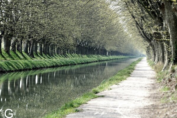 Printemps dans le parc. Allée parfaite