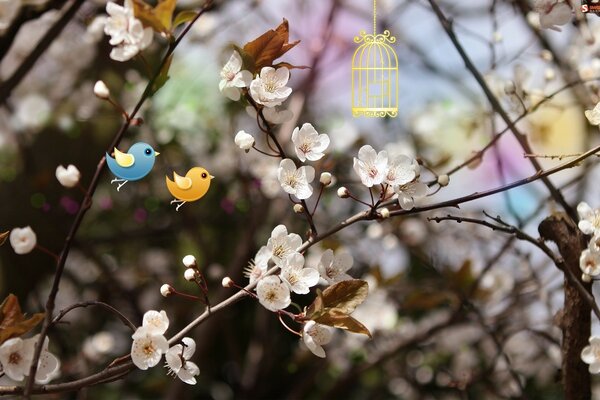 Fleurs sur les branches. Oiseaux mignons