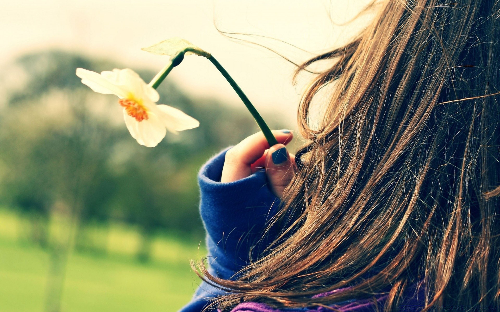 frühling natur im freien sommer frau allein entspannung schön gras erwachsener blume unschärfe mädchen urlaub