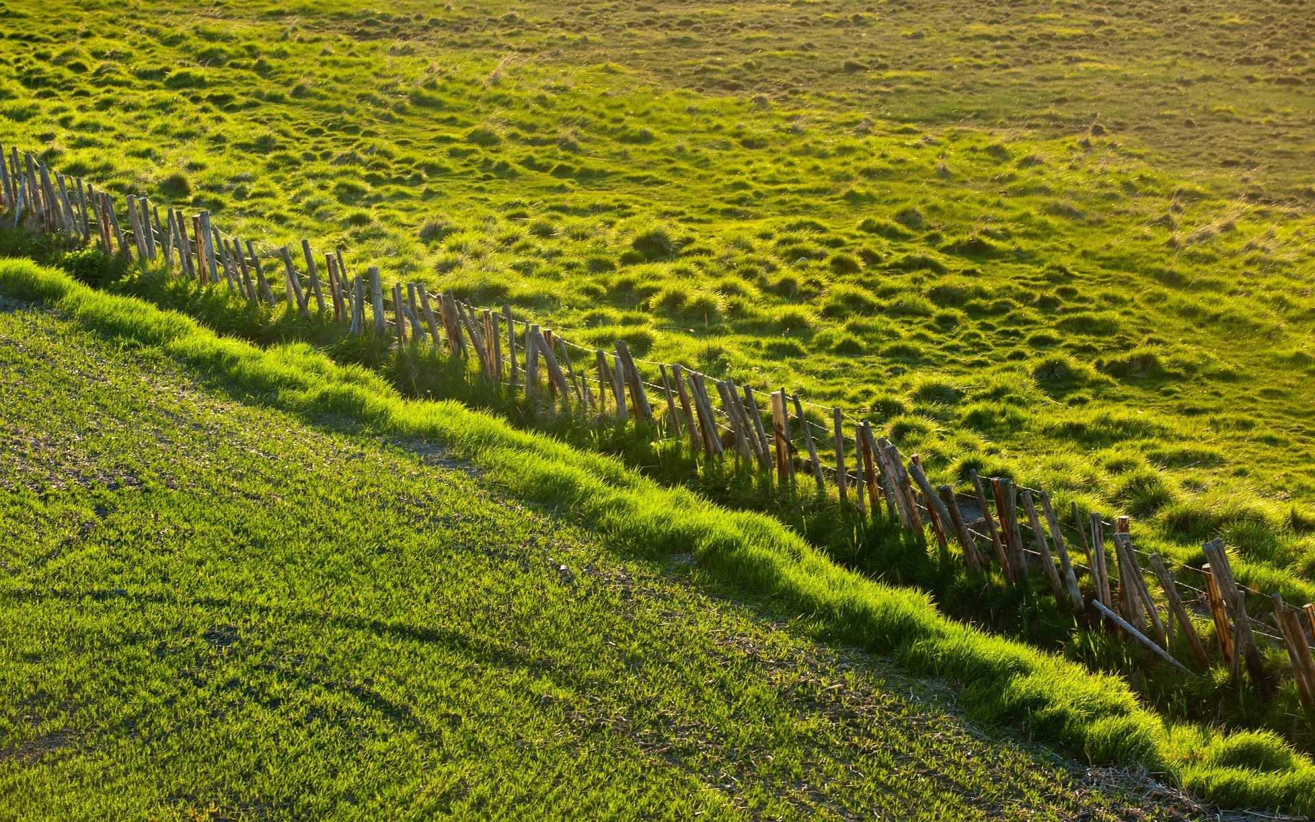 printemps paysage champ nature agriculture herbe flore rural ferme croissance foin scène campagne sol spectacle été scénique paysage extérieur saison