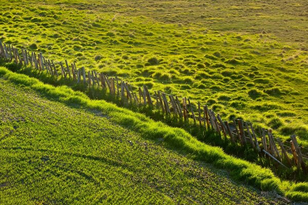 Landschaft von gepflügten Gemüsegärten und unberührtem Land