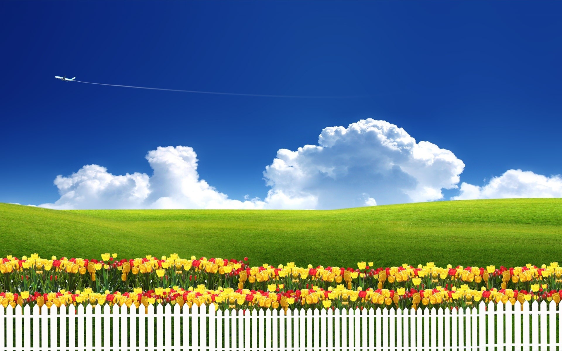 spring nature landscape summer rural flower farm grass season flora sky outdoors agriculture field countryside tree country growth bright