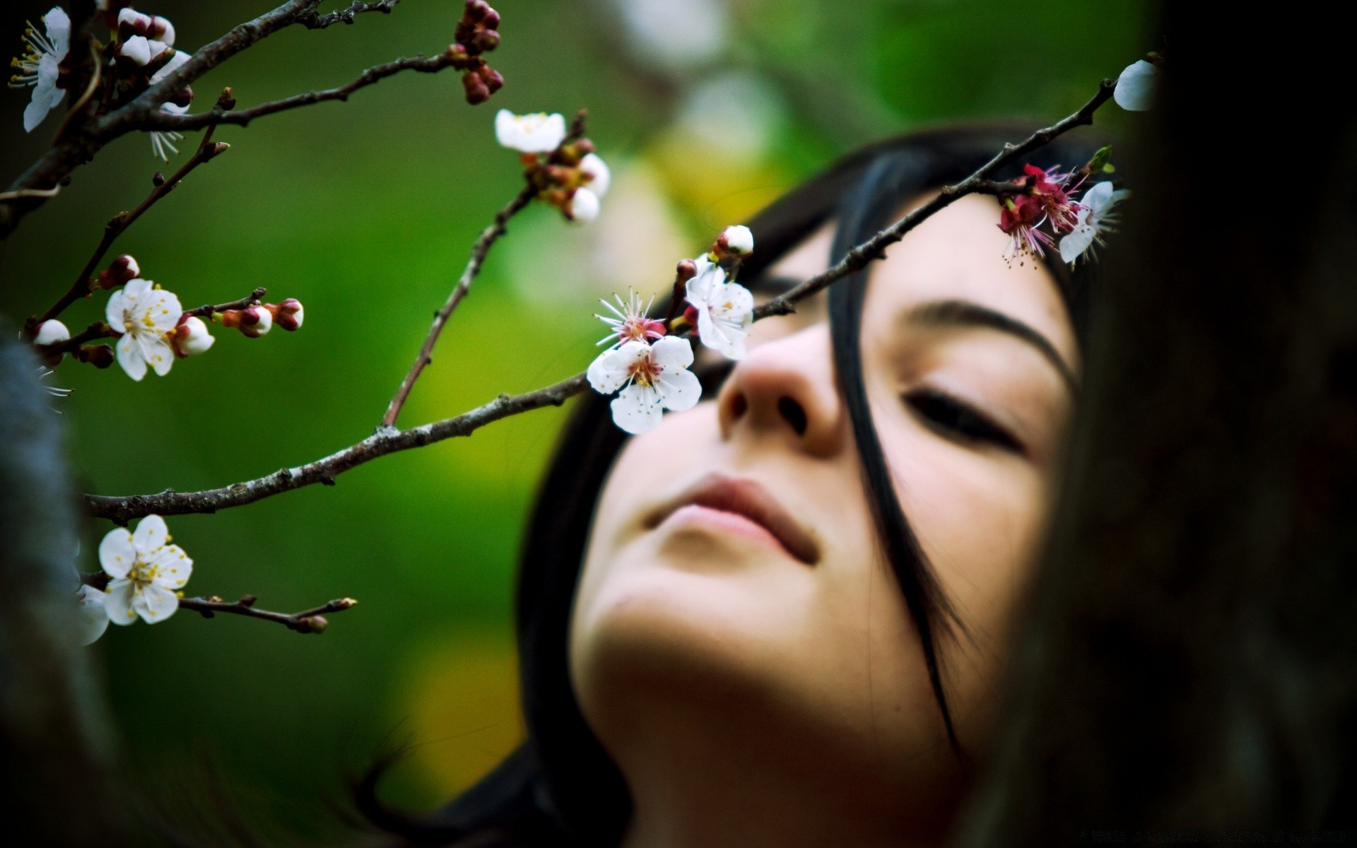 frühling blume apfel baum kirsche porträt natur mädchen