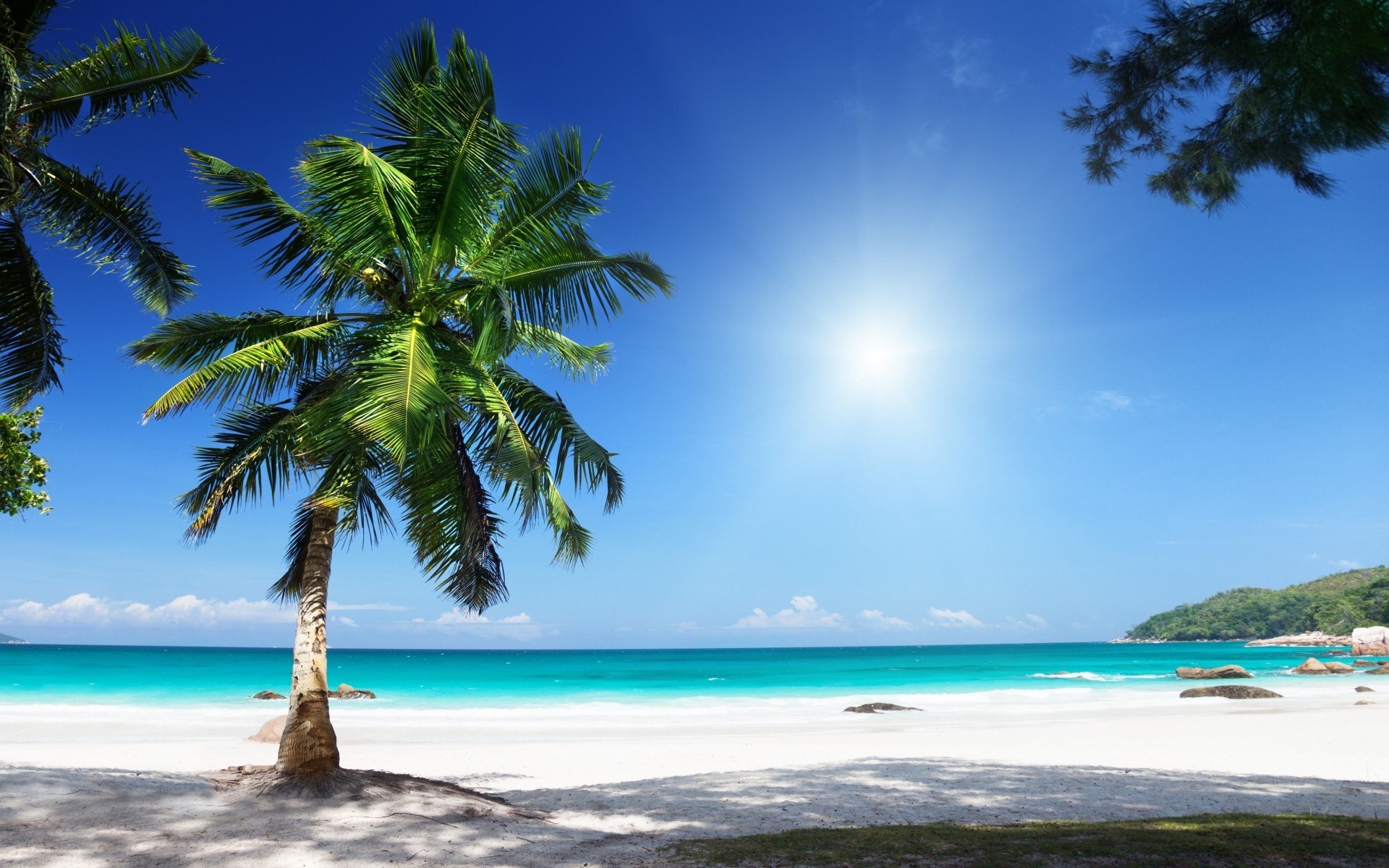 sommer tropisch strand sand insel wasser meer sonne landschaft idylle reisen exotisch ozean paradies urlaub türkis lagune entspannung gutes wetter