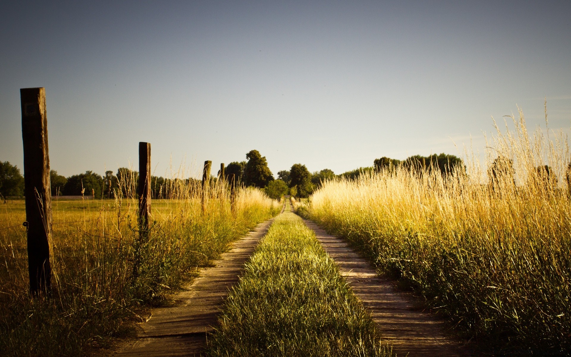 sommer landschaft im freien himmel bebautes land sonnenuntergang landwirtschaft baum dämmerung tageslicht natur feld gras landschaft herbst