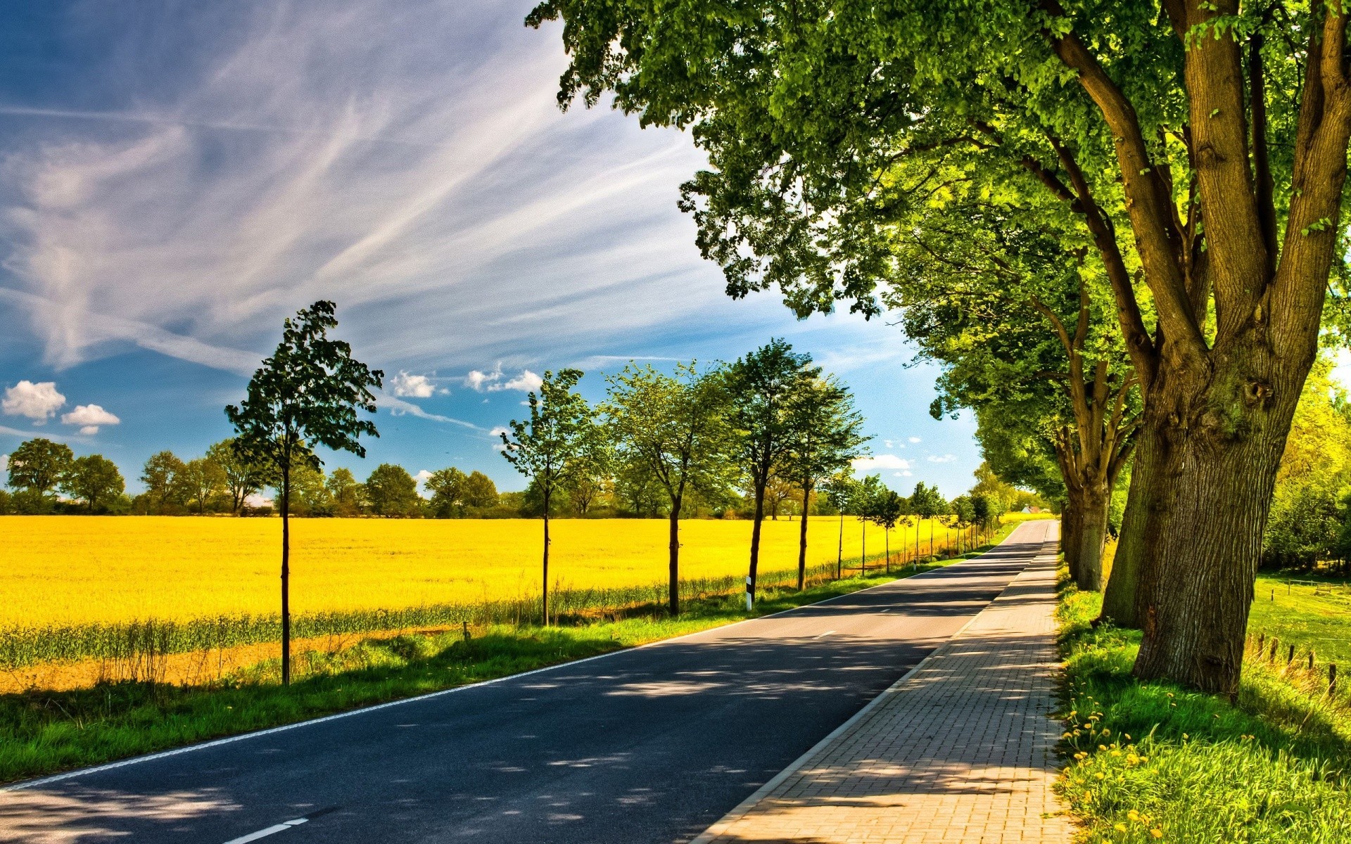 sommer straße landschaft baum des ländlichen natur landschaft führer gras im freien blatt gutes wetter holz perspektive landschaftlich hell sonne land