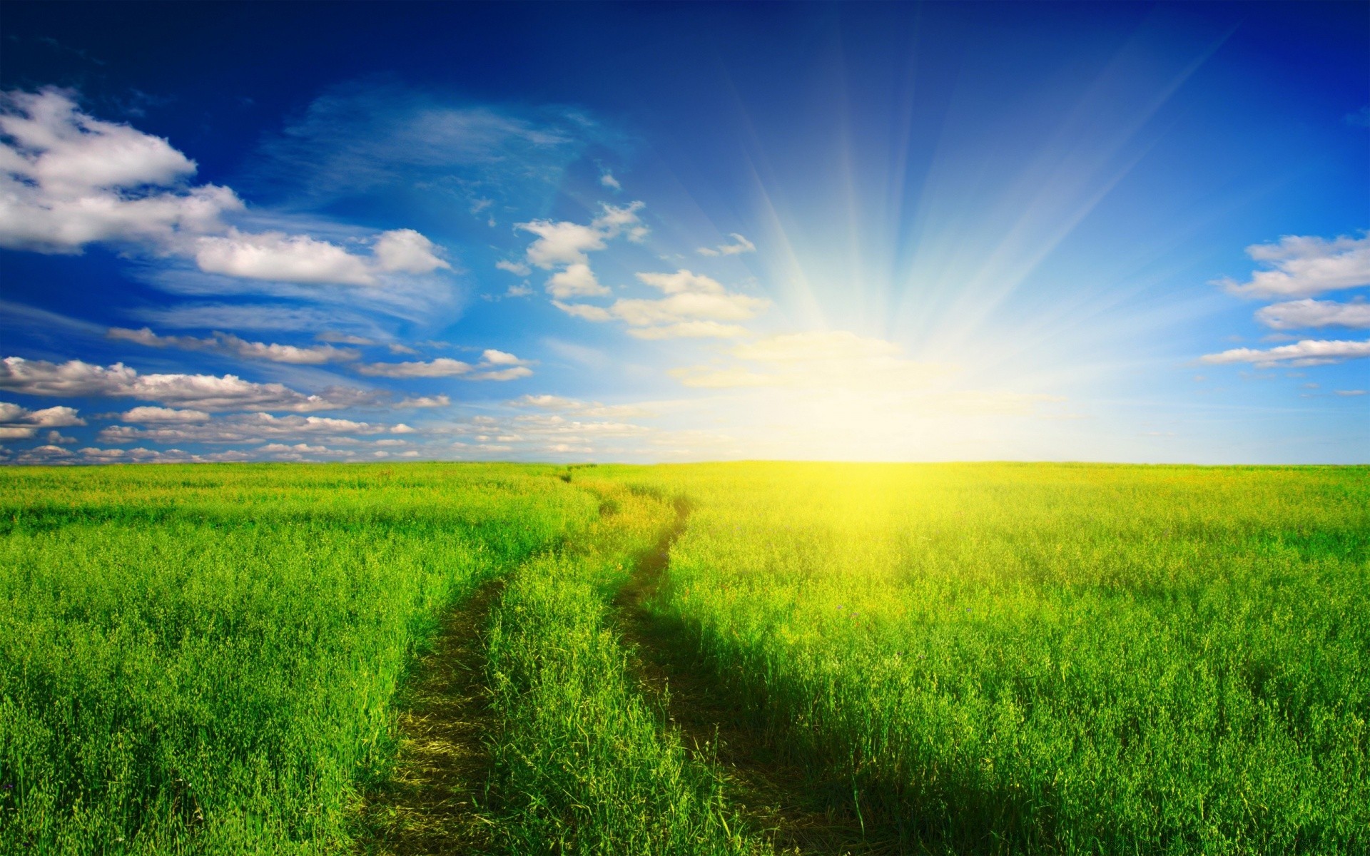 été champ rural paysage herbe nature campagne foin ciel agriculture pâturage sol beau temps ferme soleil horizon croissance nuage