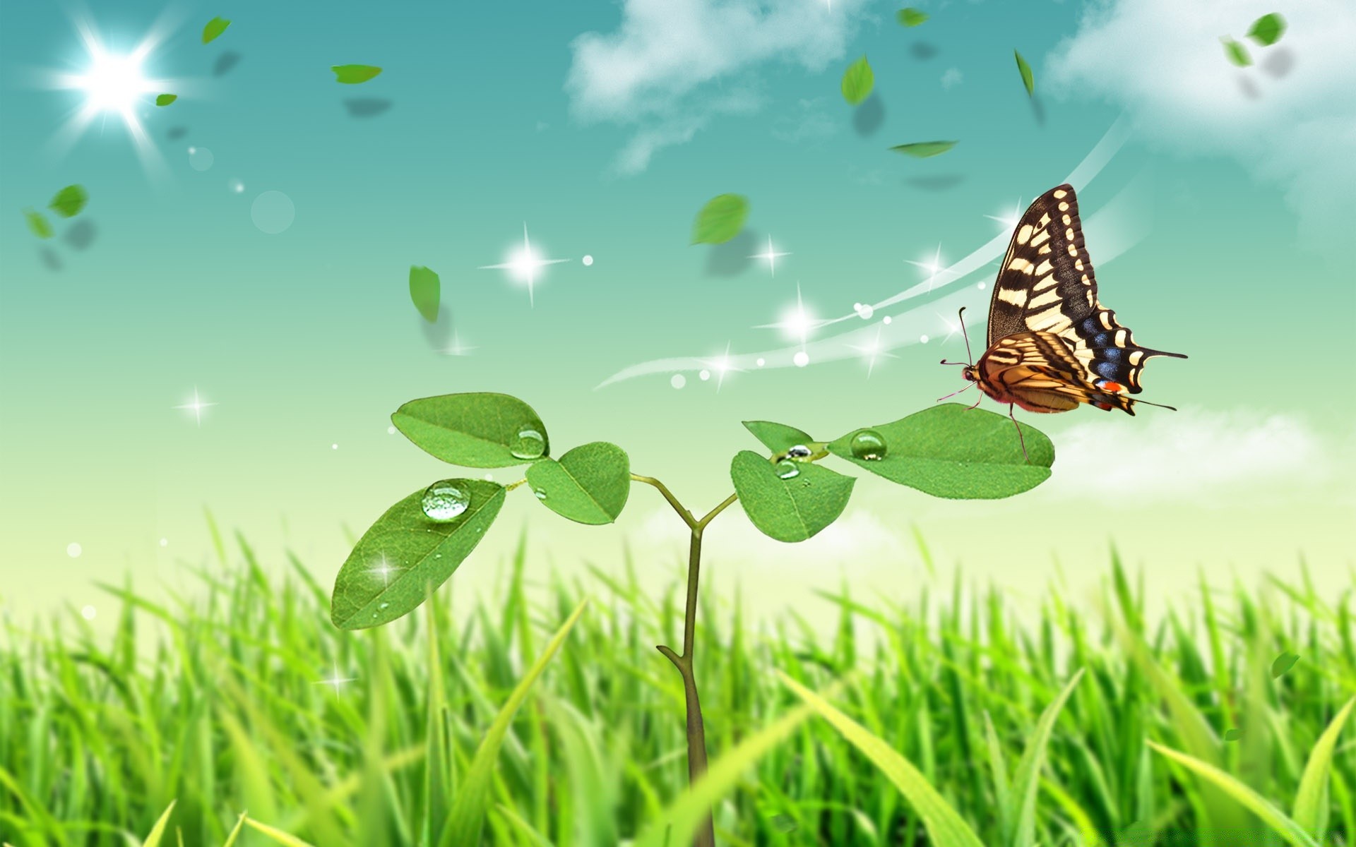 бабочка на зеленой траве бесплатно