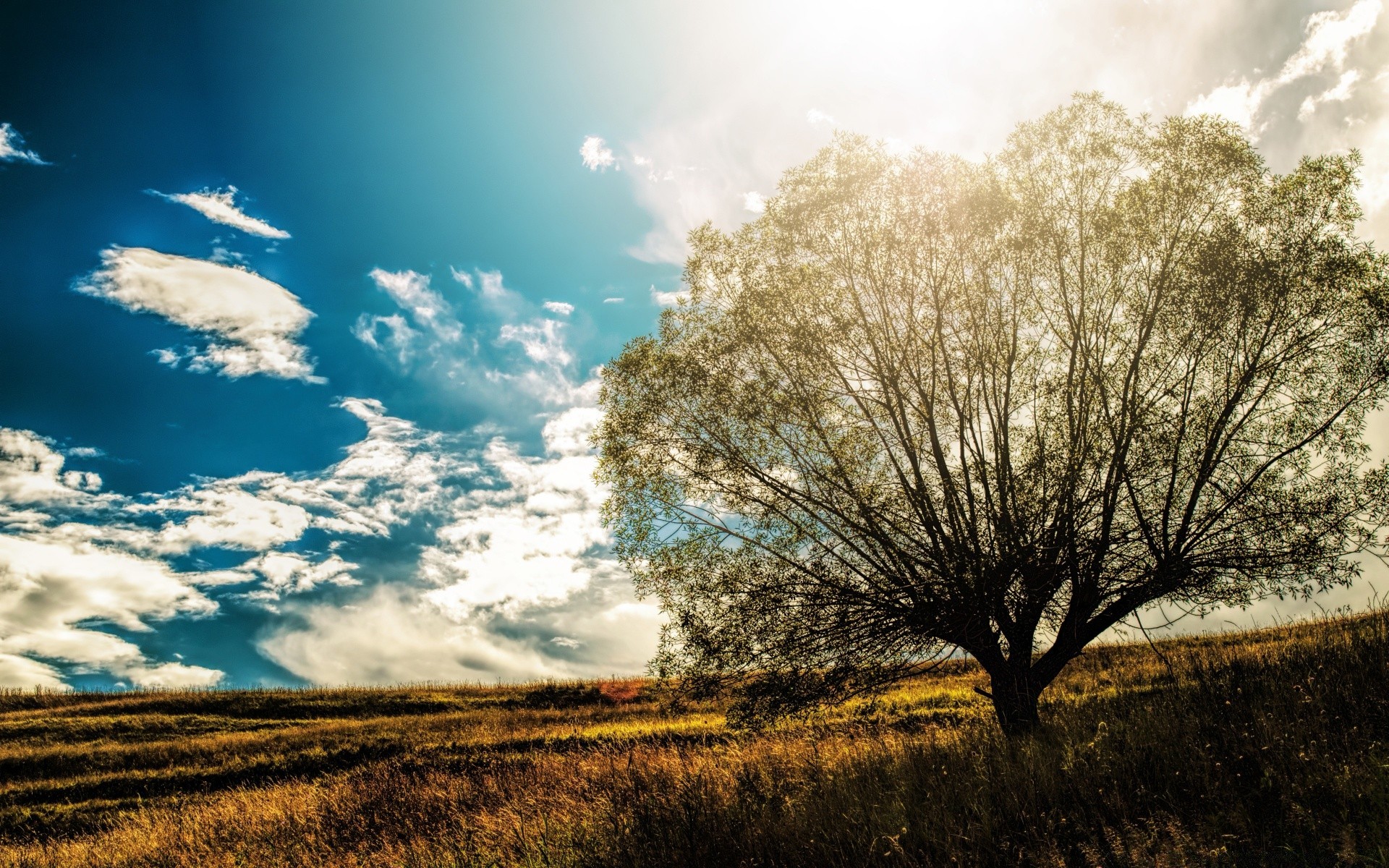 sommer landschaft baum himmel natur feld dämmerung des ländlichen raumes gras sonne landschaft im freien land landschaftlich herbst saison wolke holz gutes wetter heuhaufen