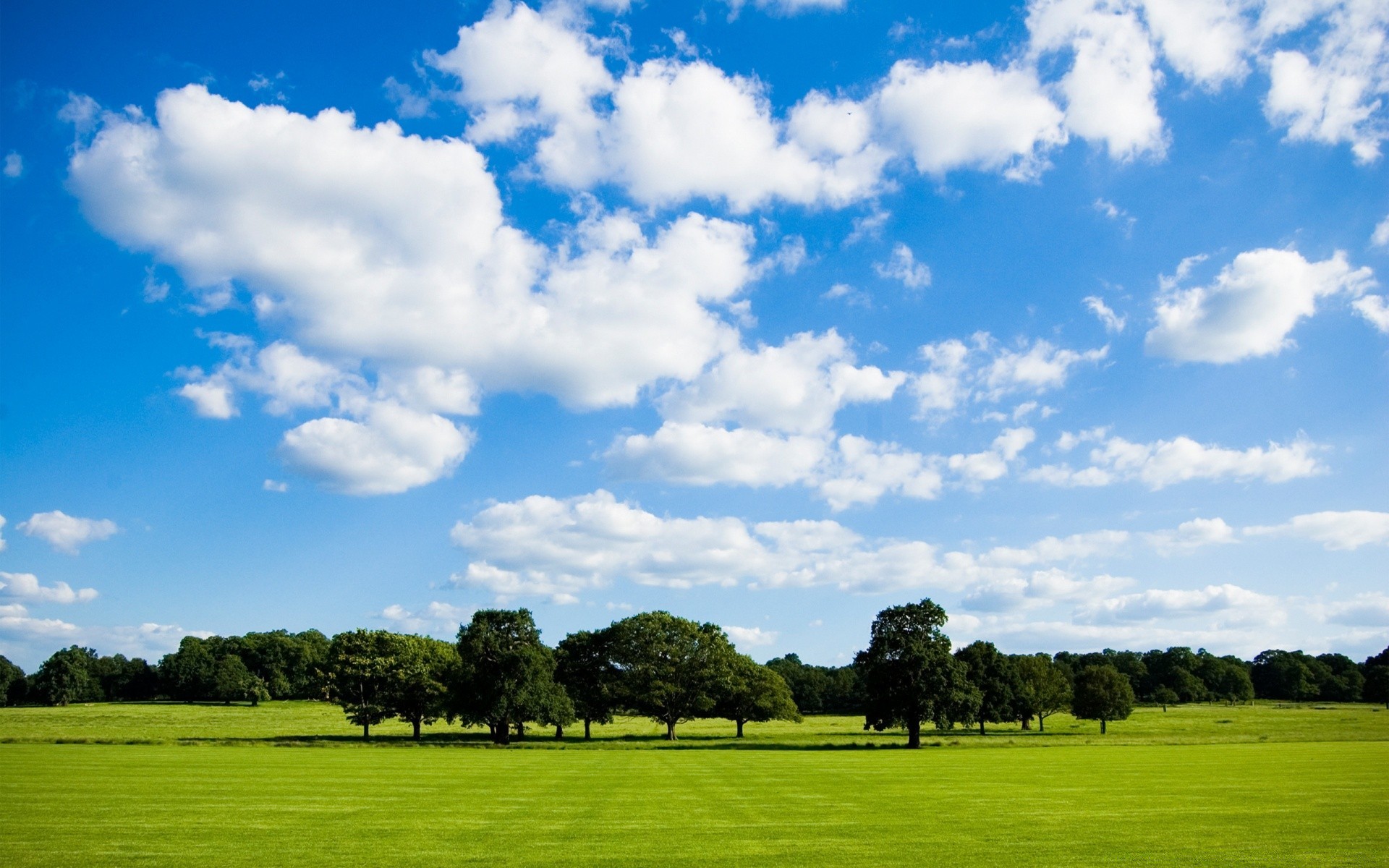 sommer landschaft gras natur des ländlichen golf landschaft himmel im freien weide feld baum landwirtschaft heuhaufen gutes wetter weide idylle bauernhof horizont