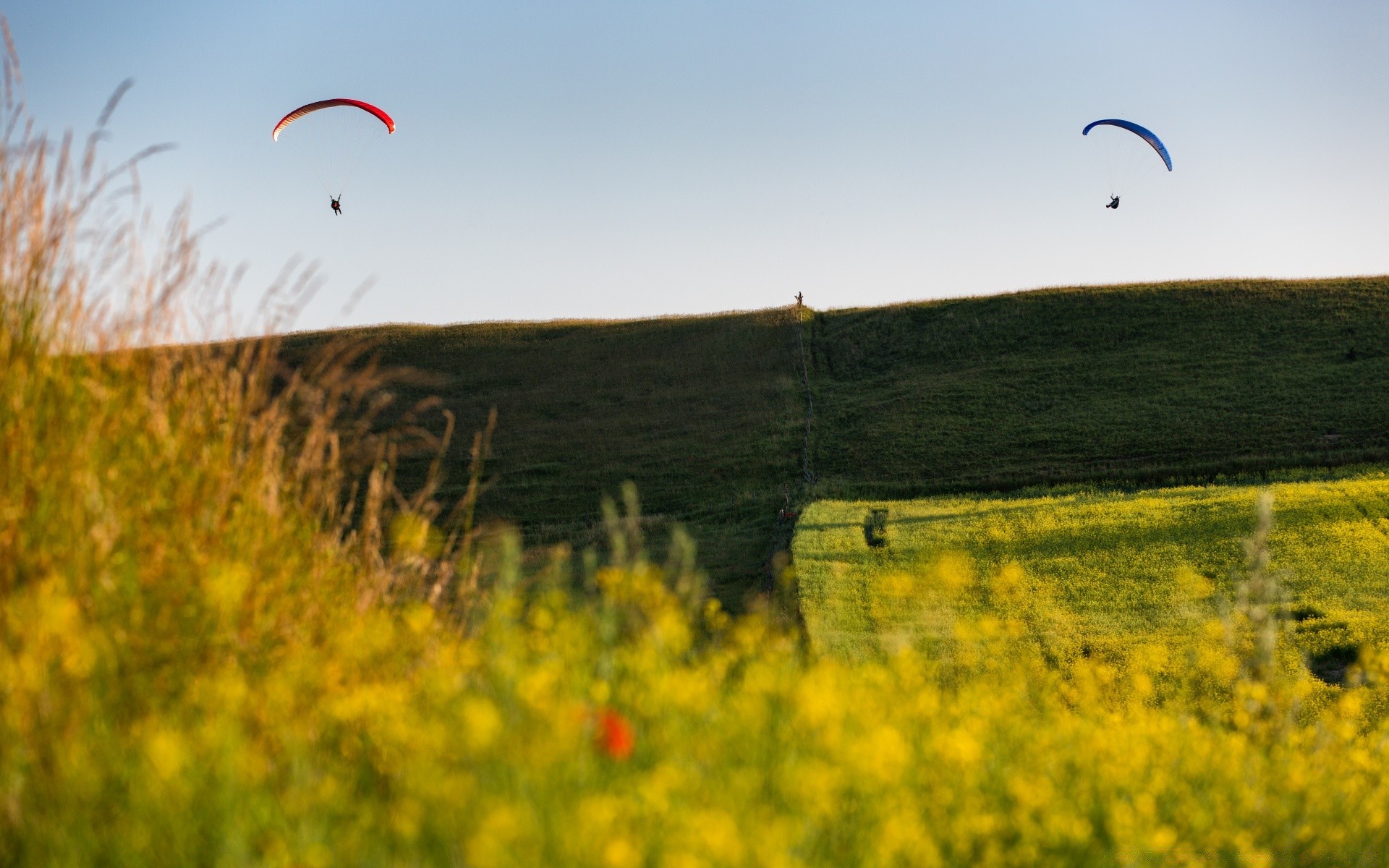 estate paesaggio campo cielo fieno all aperto agricoltura natura fiore erba scenico nuvola azienda agricola albero pascolo montagna raccolto campagna