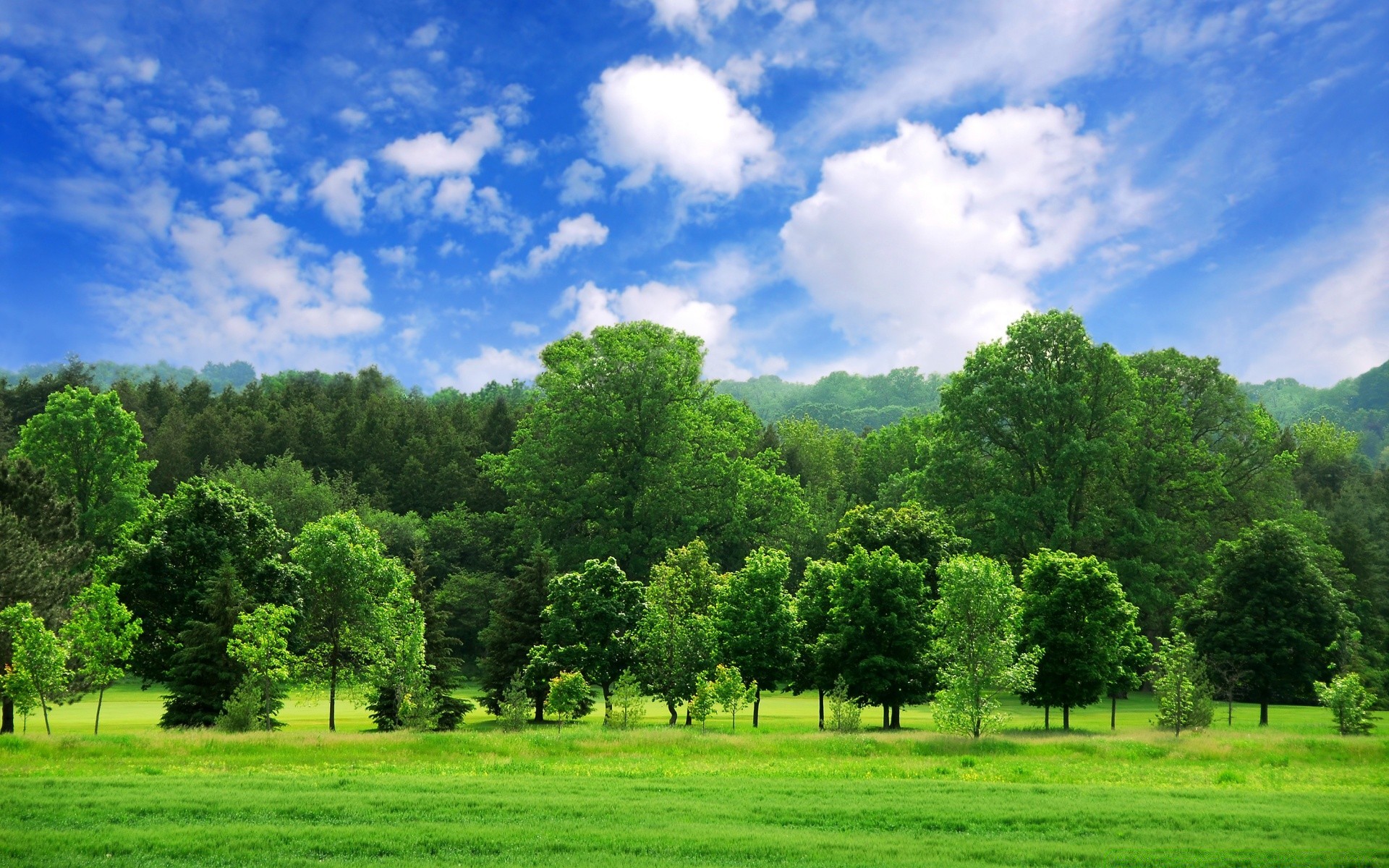 sommer des ländlichen gras landschaft natur landschaft baum gutes wetter heuhaufen im freien feld himmel idylle rasen sonne hell holz wolke üppig