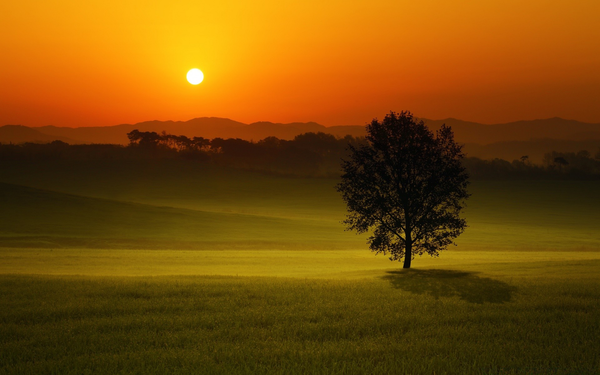 summer sunset dawn sun backlit evening dusk landscape silhouette tree sky fair weather nature fog light