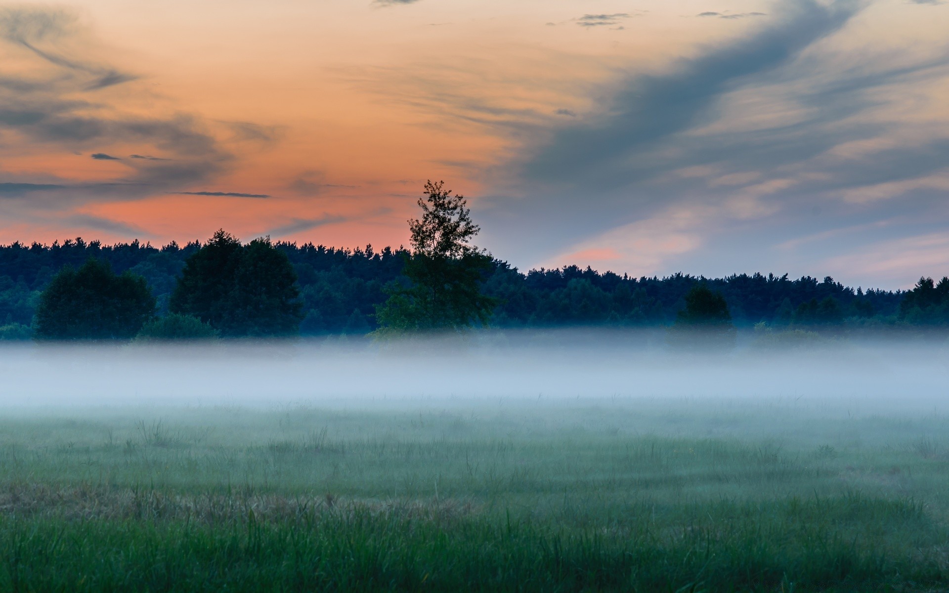 lato krajobraz świt zachód słońca natura słońce jezioro drzewo niebo mgła woda mgła dobra pogoda światło na zewnątrz wieczorem