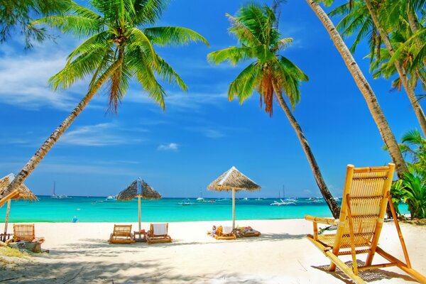 Sea sun palm trees white sand