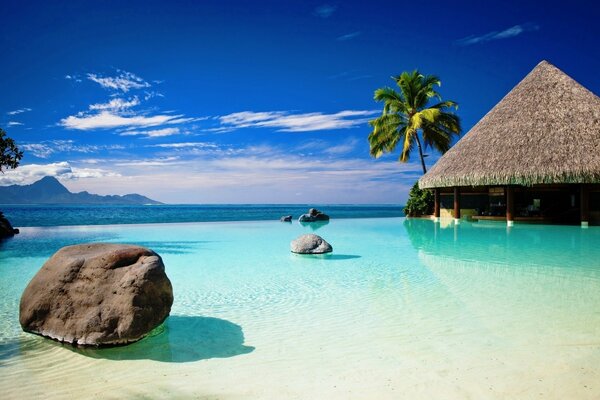 Calm waters of the tropical ocean