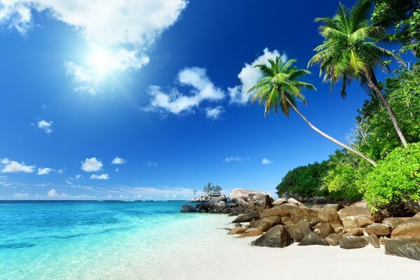 Tropical sandy beach and sea