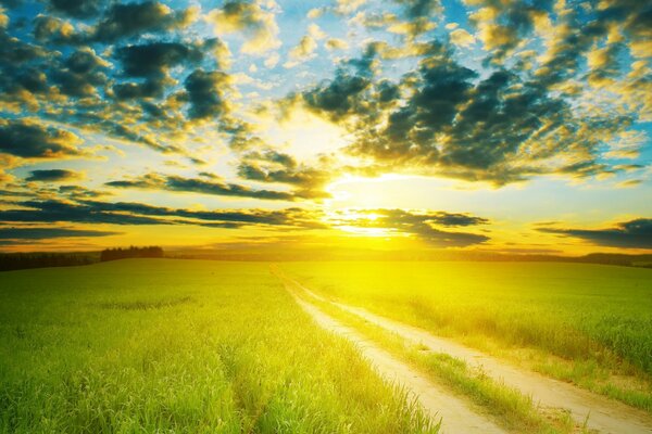 Camino rural en un campo verde al atardecer