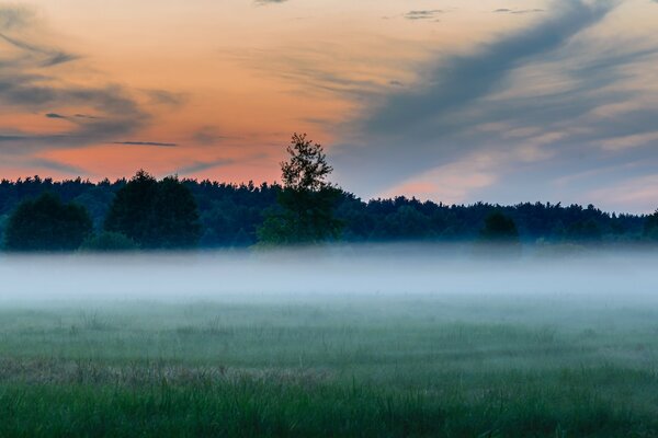 Sunrise landscape with fog in the morning