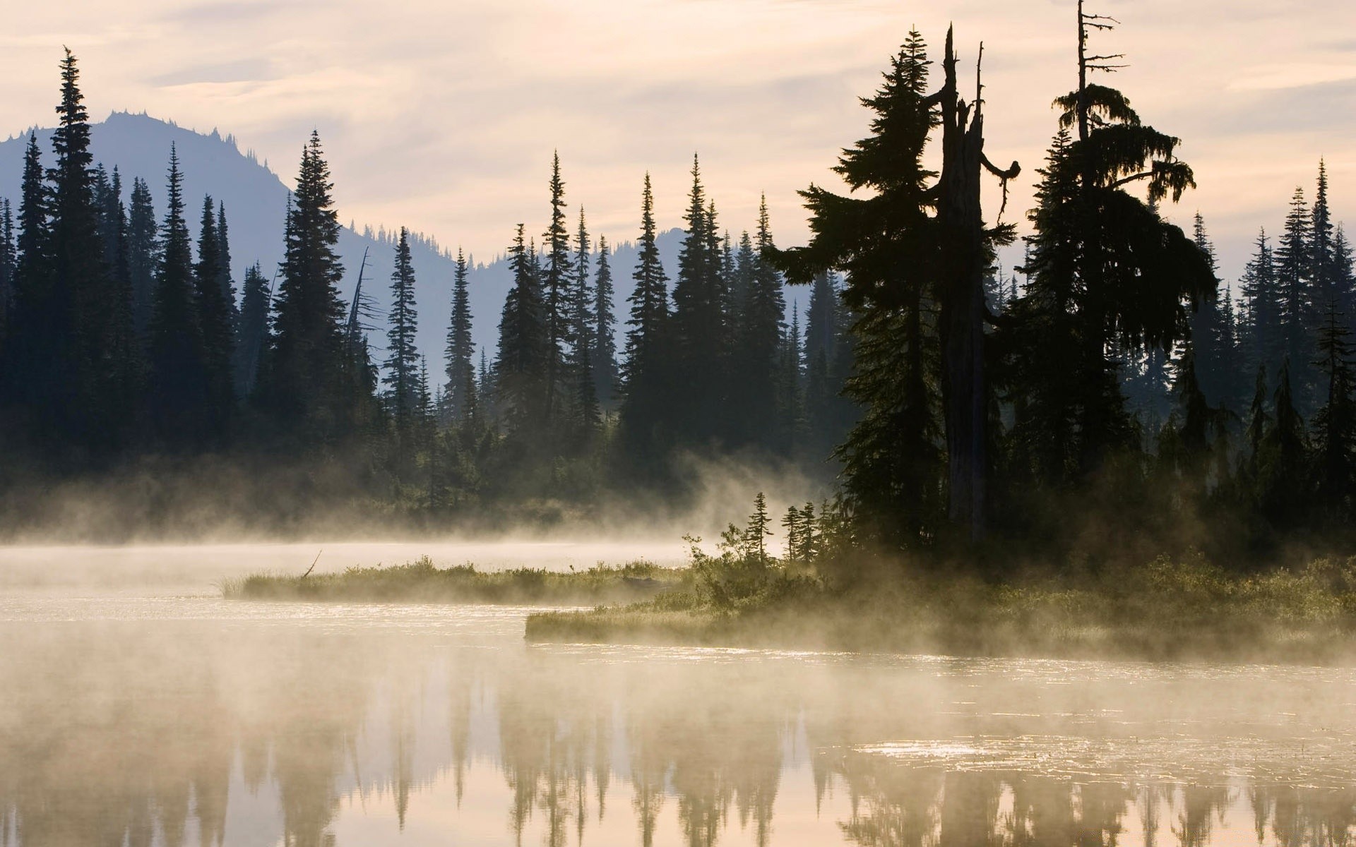 lake tree landscape snow water outdoors wood conifer evergreen mountain reflection