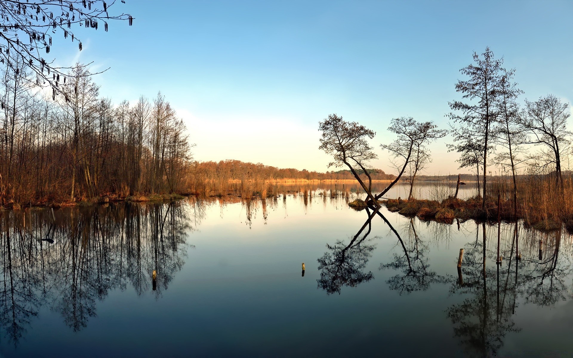 lago árbol naturaleza paisaje reflexión madera agua temporada cielo amanecer al aire libre invierno otoño buen tiempo escénico río sangre fría parque rama