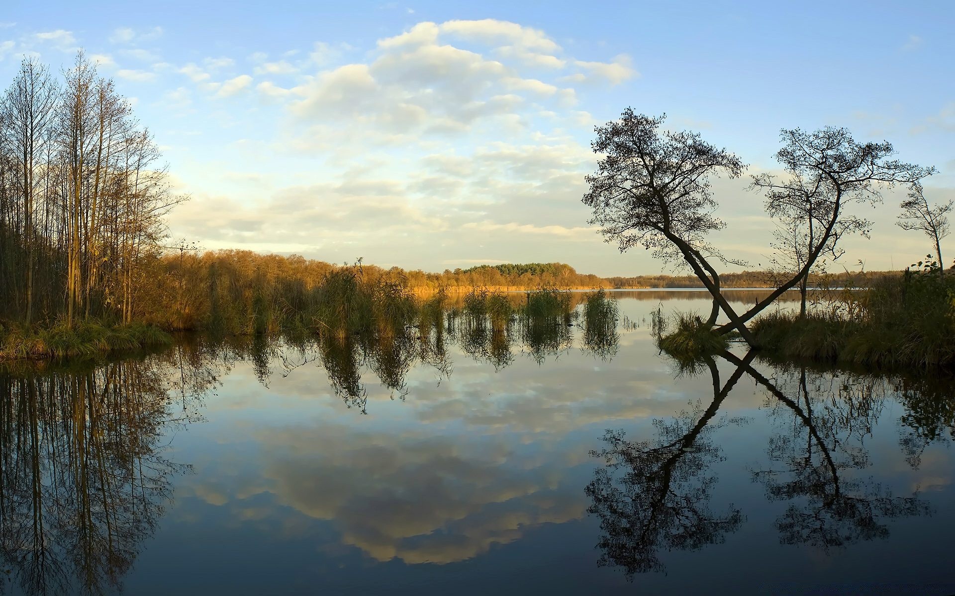 lake tree reflection water landscape nature dawn outdoors wood sky river placid composure evening sunset fall fair weather pool