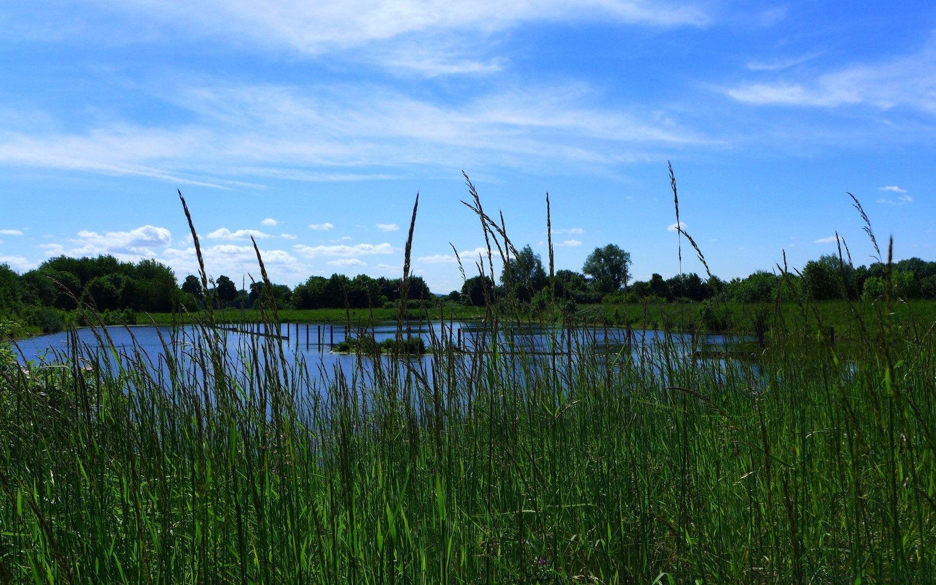 lago acqua paesaggio natura erba cielo estate all aperto riflessione vento marcia sole campo