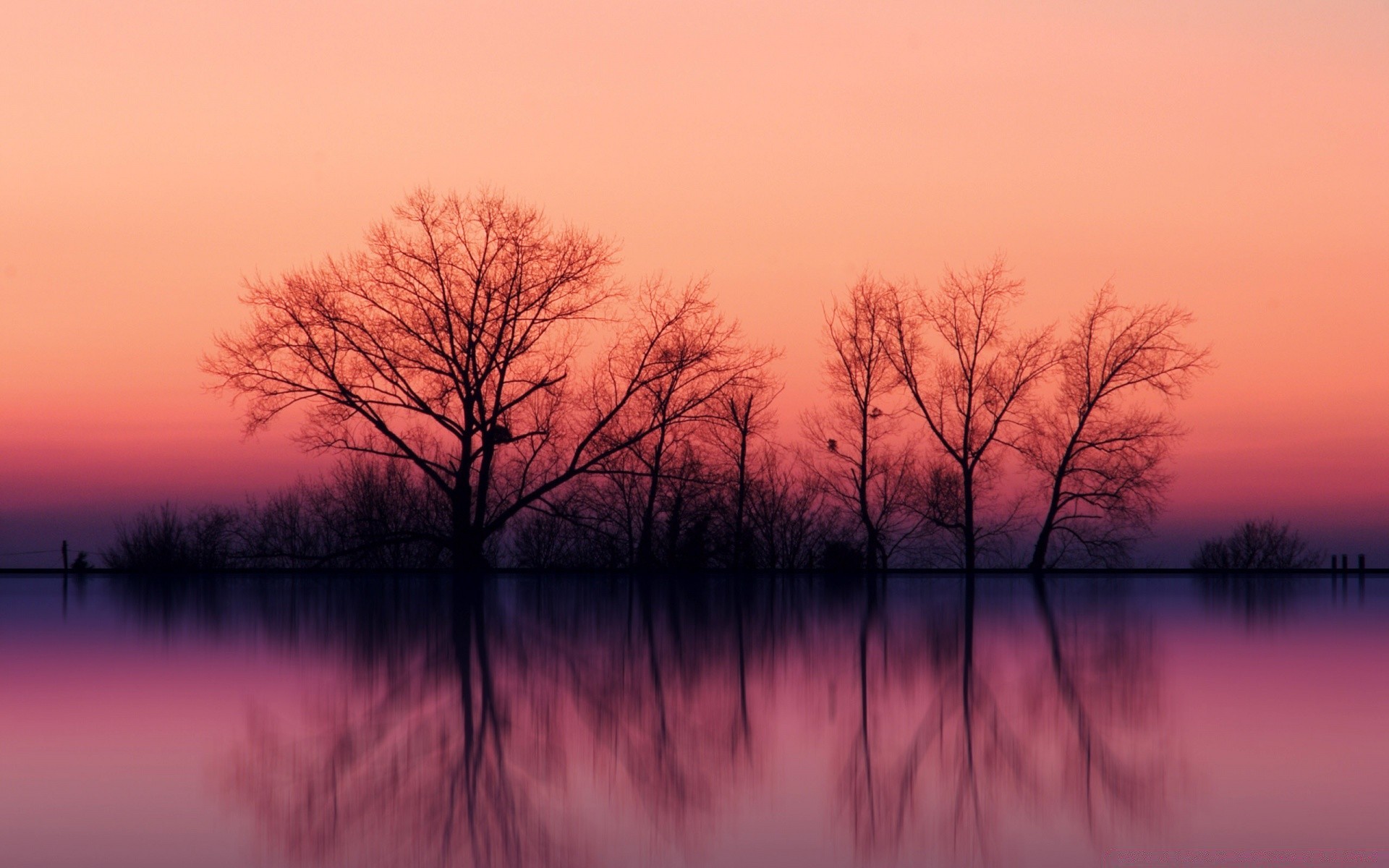 lago alba paesaggio tramonto riflessione albero natura sera acqua sole autunno nebbia illuminato muffa silhouette bel tempo