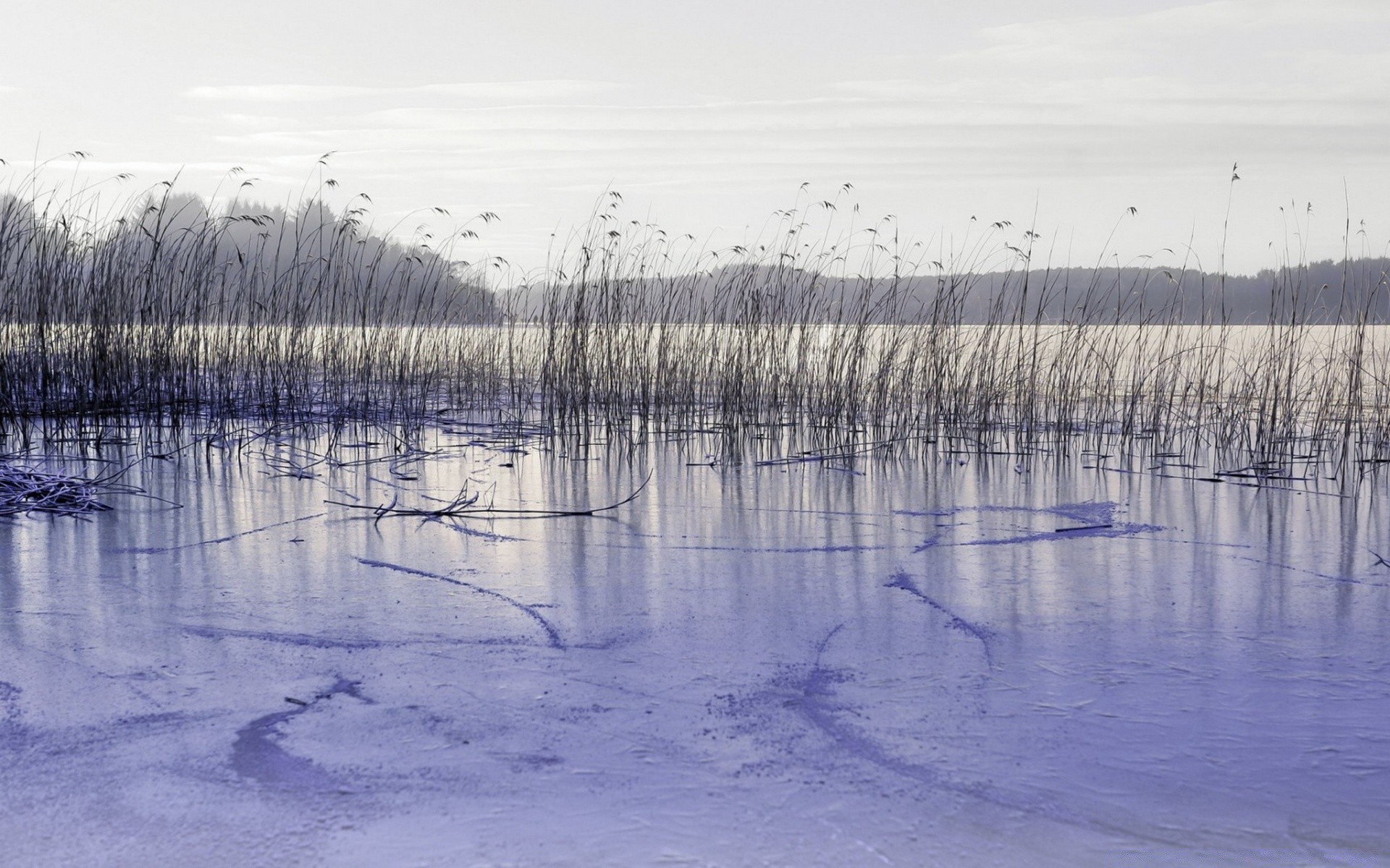 lake landscape reflection water winter snow dawn nature river cold frozen tree wood ice frost weather sky scenic outdoors