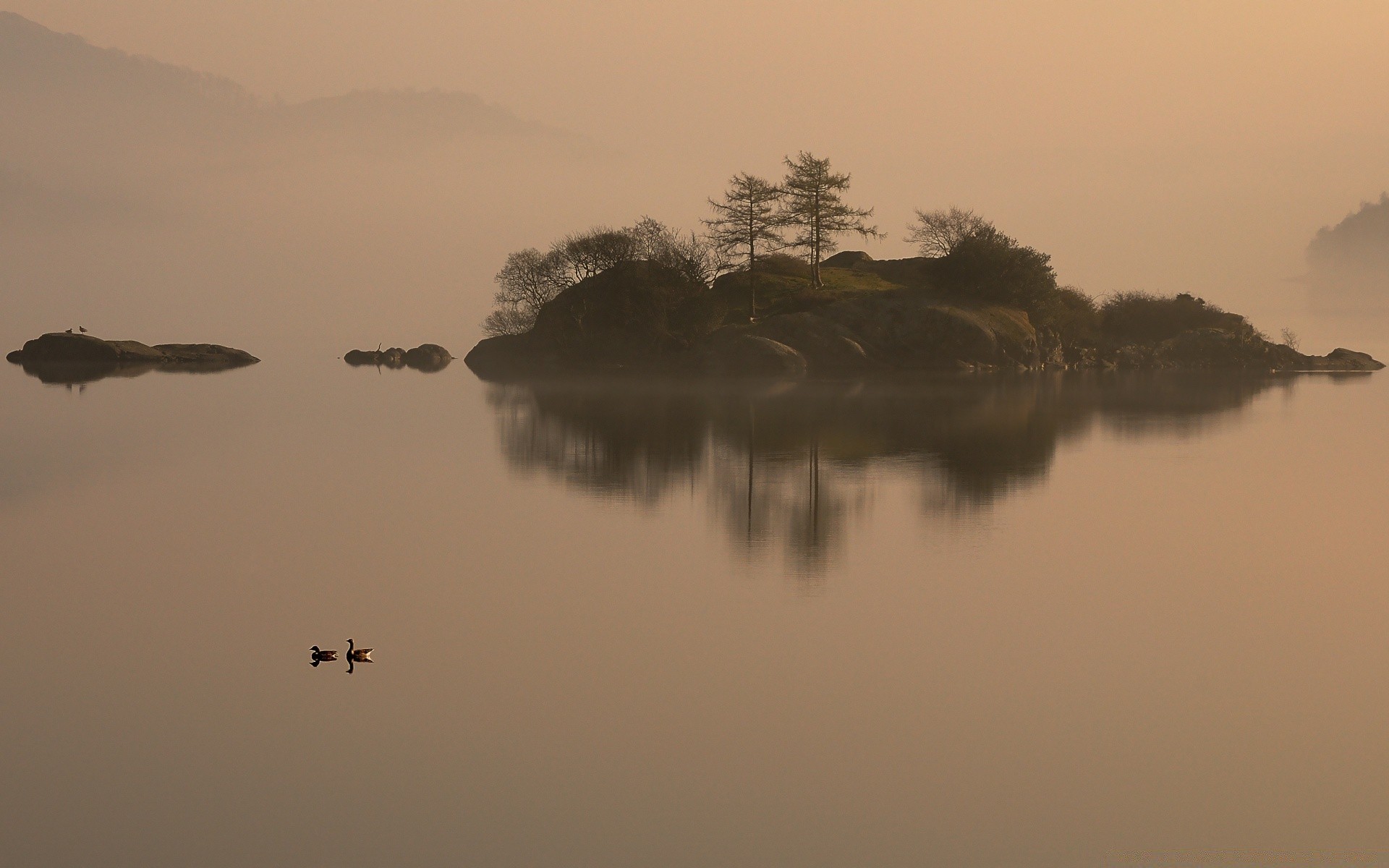 lac aube brouillard coucher de soleil eau brouillard paysage réflexion rétro-éclairé arbre soir silhouette rivière ciel oiseau plage soleil crépuscule météo