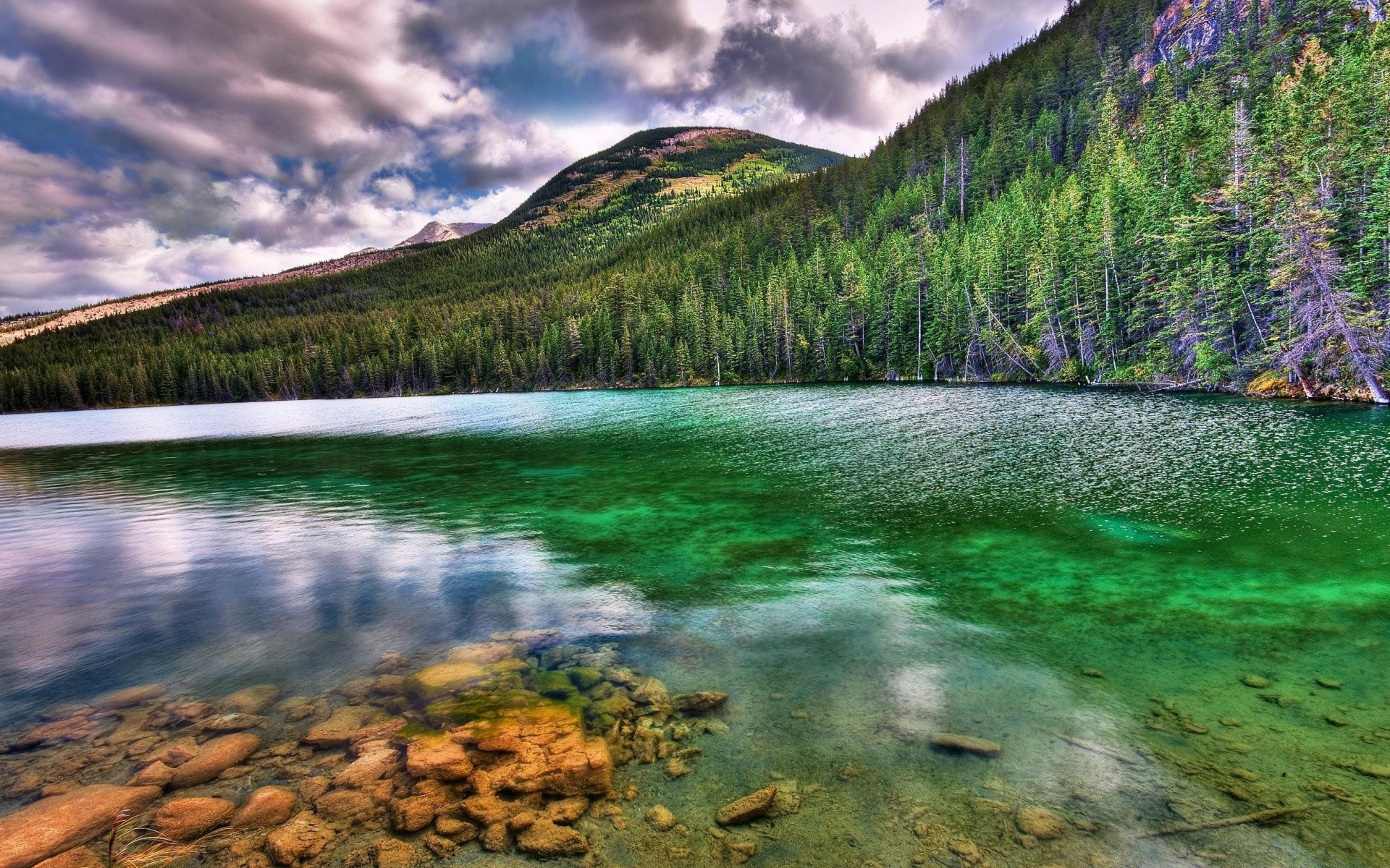 lagos água natureza viagens paisagem ao ar livre céu montanha cênica madeira reflexão rio verão árvore