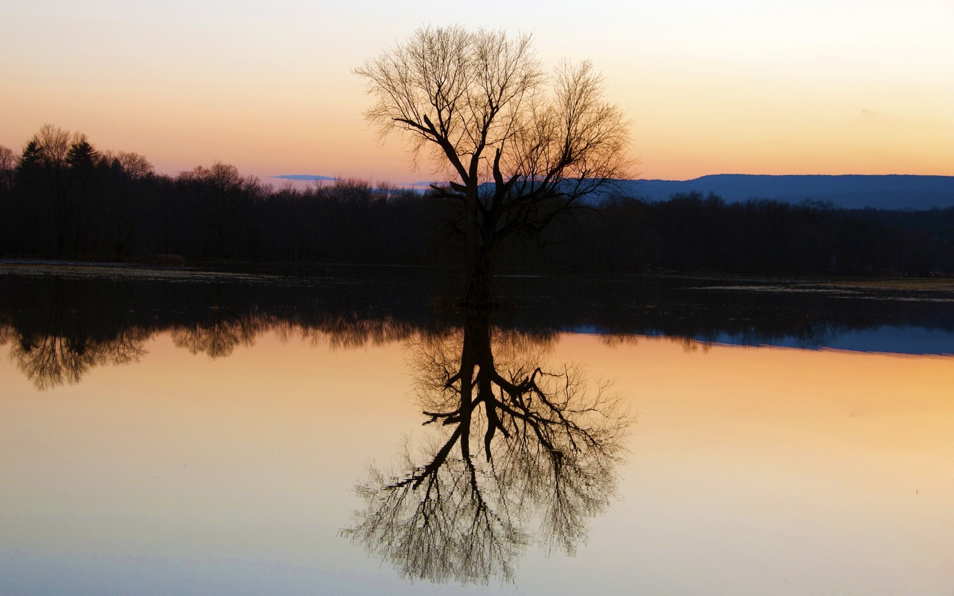 lake dawn water reflection landscape sunset tree evening fog mist river nature silhouette placid outdoors wood winter dusk sky