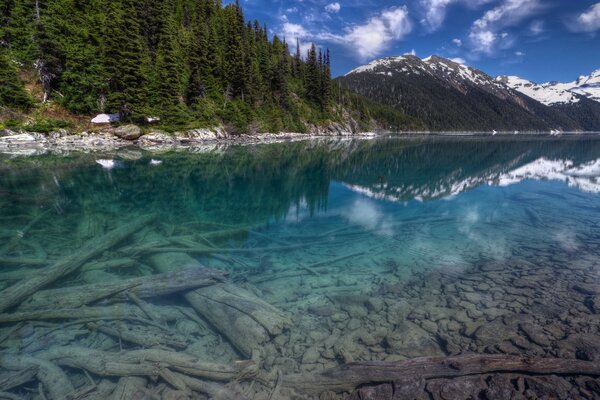 Landscape of a transparent lake and snowy mountains