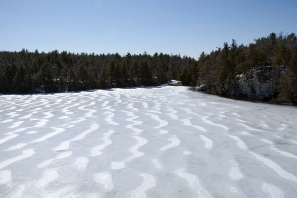 A snowy field. Winter forest. Waves in the snow