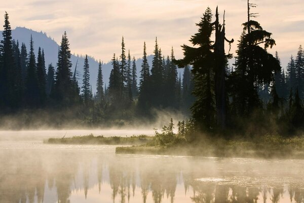 Paisaje natural con niebla en la superficie del agua