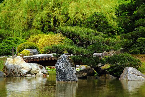 Natural landscape with green forest and boulders